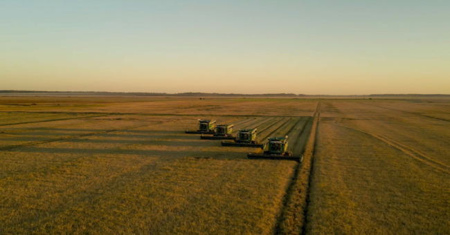 DJI_0952.00_05_01_50.Still0180